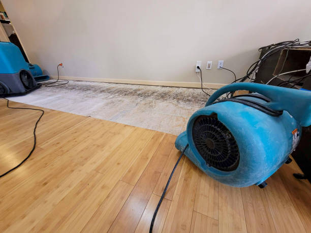 Professional Water Damage Repair technician working in Pinehurst, ID